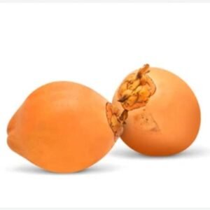 King-coconut-300x300-1.jpg