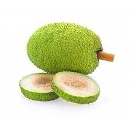 breadfruit_500x500_nopadding-1.jpg