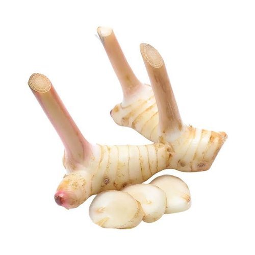 galangal_500x500_20padding-1.jpg