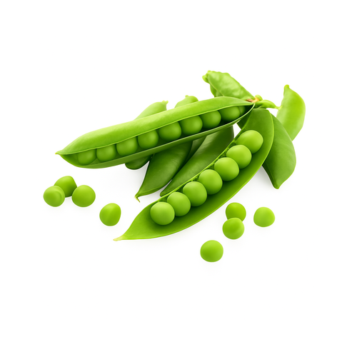 green_peas_500x500_white_bg-1-1.png