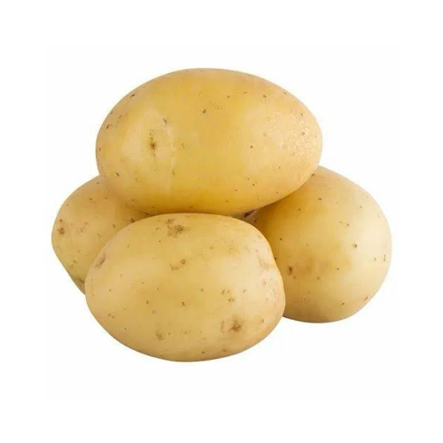 potato_500x500_clean-1.png