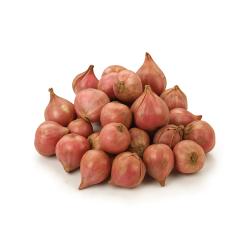shallots_final_500x500_clean-1.png