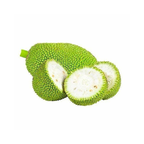 tender_jackfruit_500x500_clean-1.png