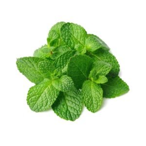 Mint-Leaf-300x300-1-1.jpg