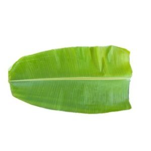 banana-leaf-300x300-1-1.jpg