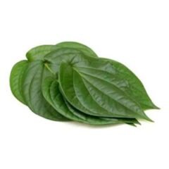 betel-leaves-1-300x300-1-240x240-1.jpg