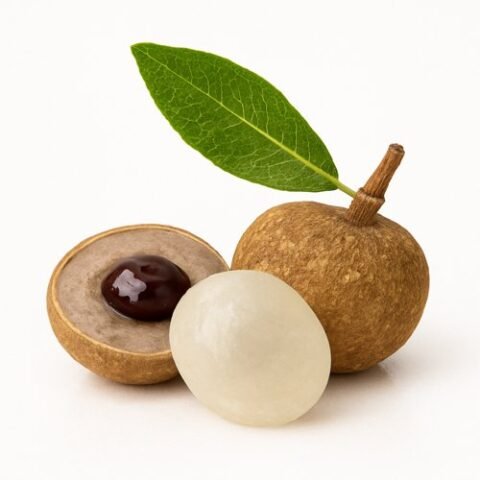 longan_resized_white_bg_final_500x500-480x480-1.jpg