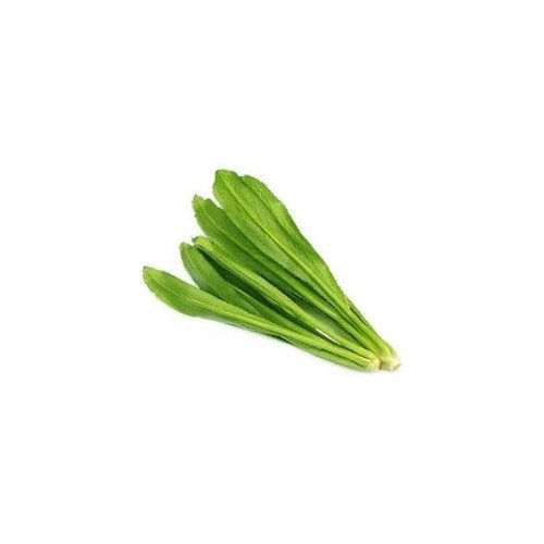 thai_parsley_500x500.jpg